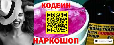 шишки Обь
