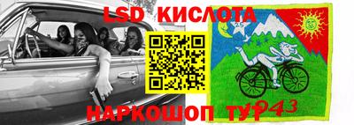 шишки Обь