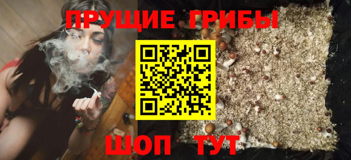 Галлюциногенные грибы MAGIC MUSHROOMS Асбест